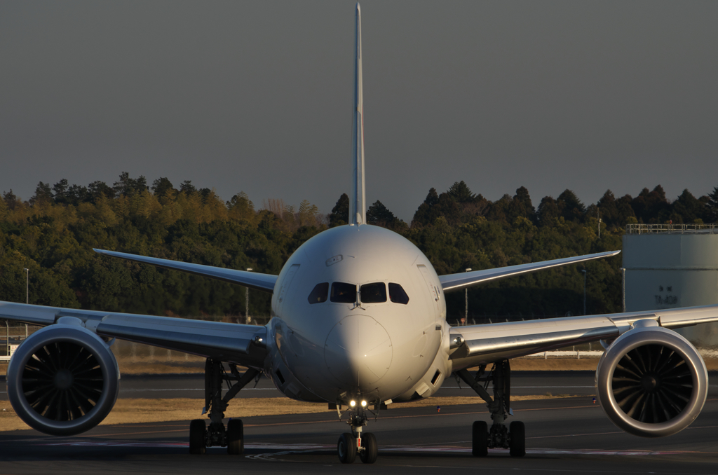 Boeing 787 Dreamliner