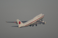 ハクチョウハトビサッタ