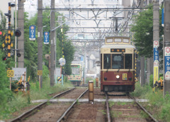 arakawa line