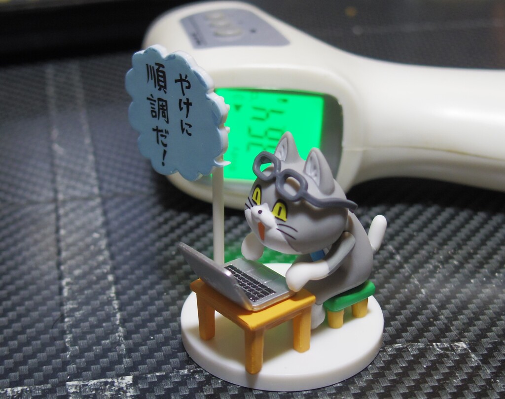お久しぶりです。
