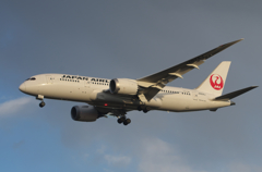 JAL　787