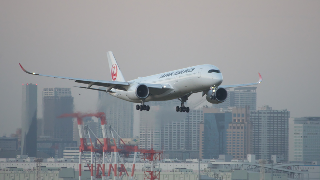 南風の16L