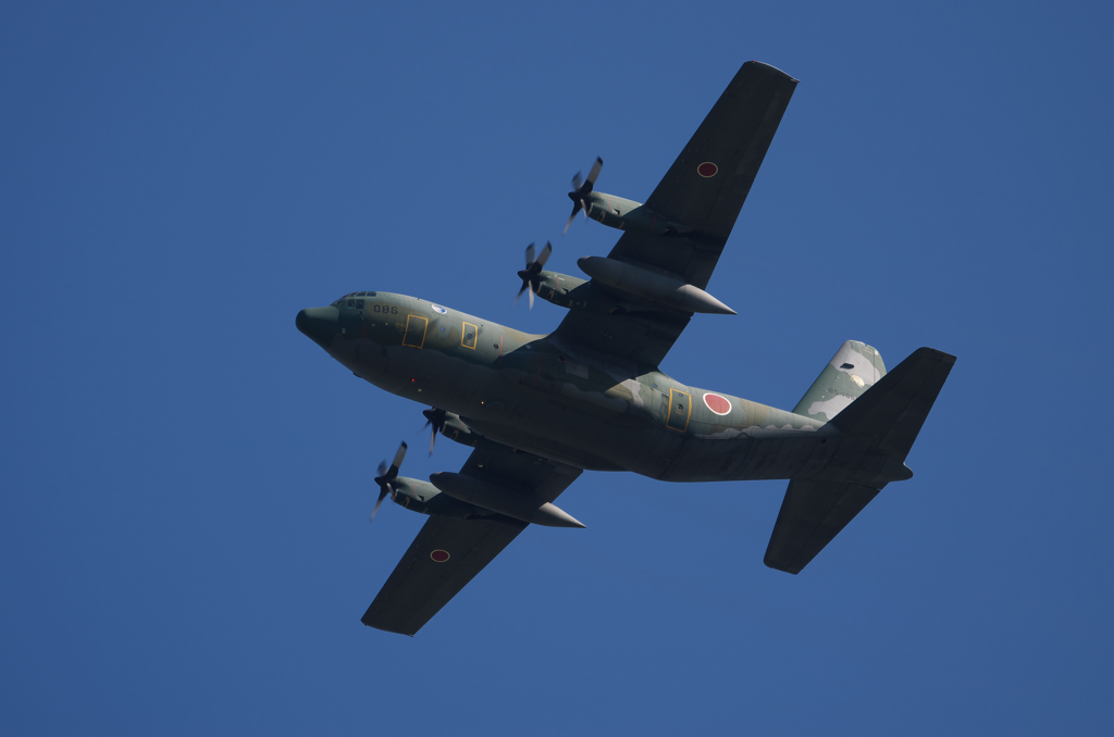 歩け歩け③ C-130H