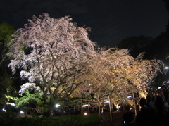 六義園