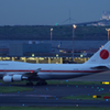白鳥が居残り。。。。