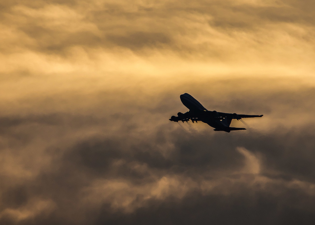 Japanese Air Force 701