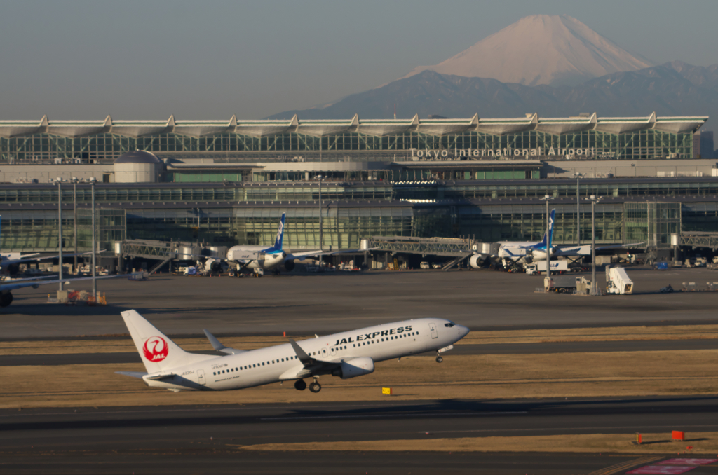 Hummingbird 壱