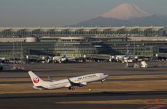 Hummingbird 壱
