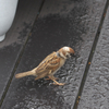 苦労してる？