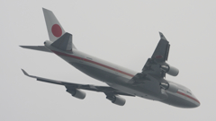 JF1 