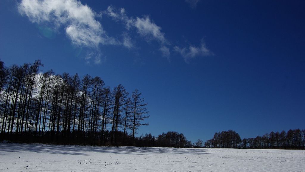 雪晴れ