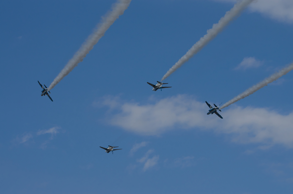 4 Ship Invert