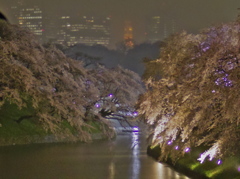 雨に霞む
