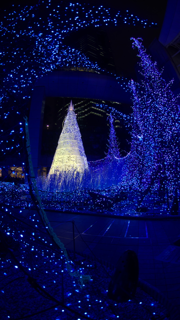 caretta Illumination 2015