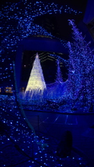 caretta Illumination 2015