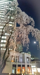 みあげる