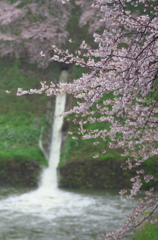 放水
