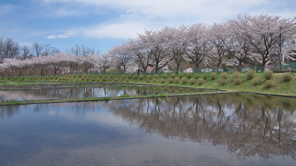 水鏡