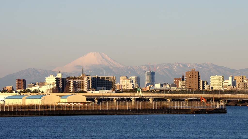富士山 京浜島より