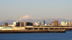 富士山 京浜島より