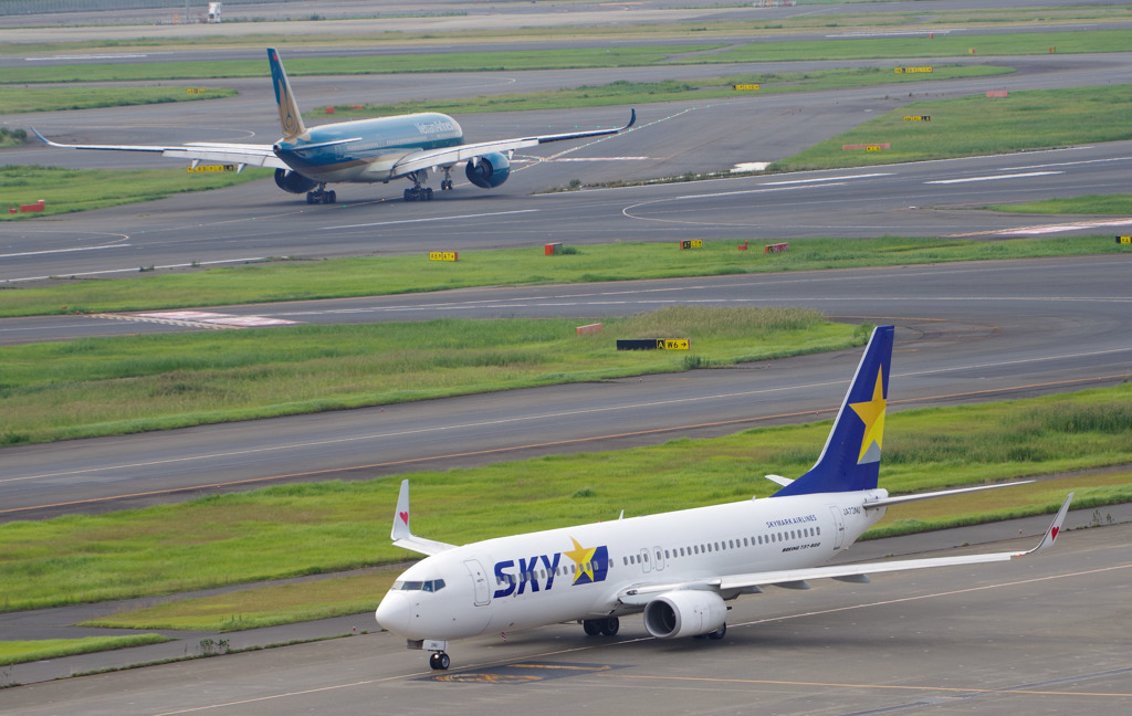「SKY」と「たぬき」