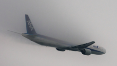 B777 ANA