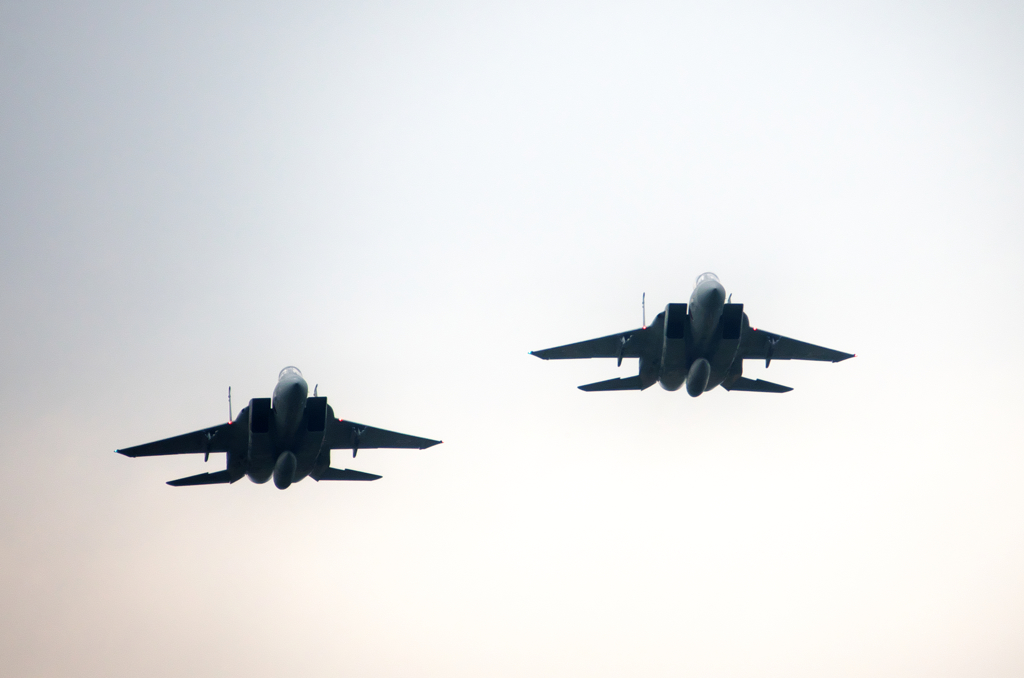 展示飛行　F15J 