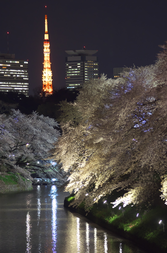 桜タワー