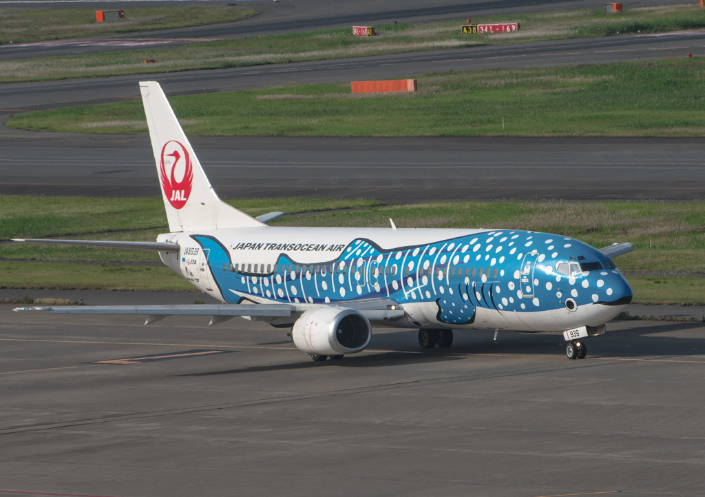 青い子