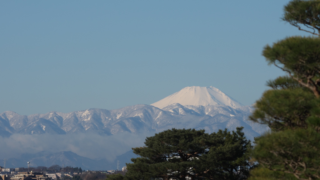 富士見橋より