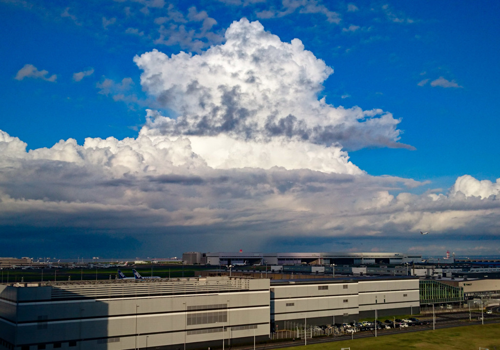 竜の巣だぁ By ももじ Id 写真共有サイト Photohito 竜の巣だぁ By ももじ Id 写真共有サイト Photohito