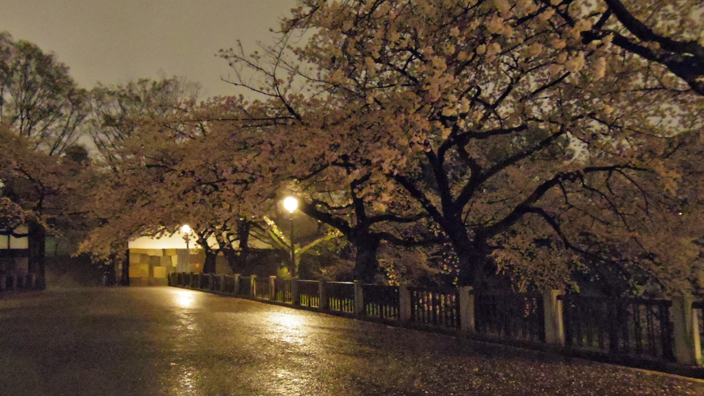 雨の夜