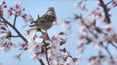 ぽいっとな