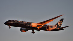 壱号機 ANZ 787-9