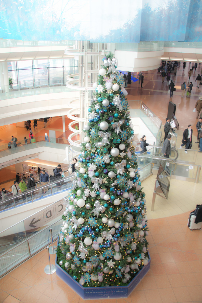 Christmasまで待てない♪