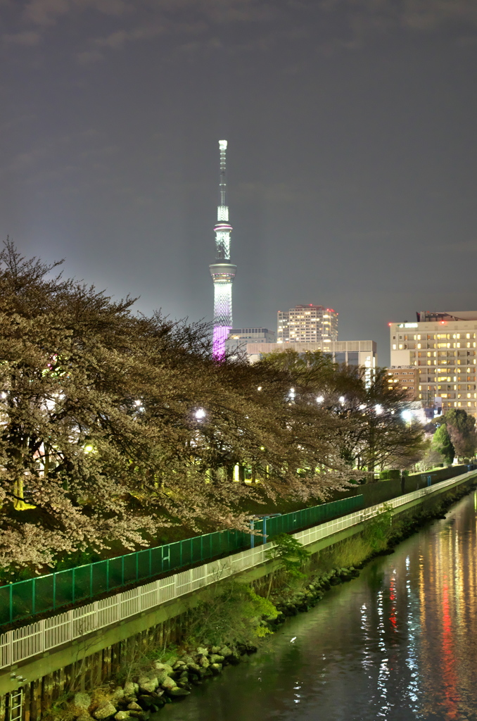 春色タワー