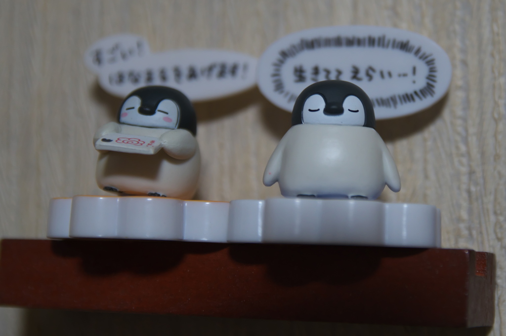 試写