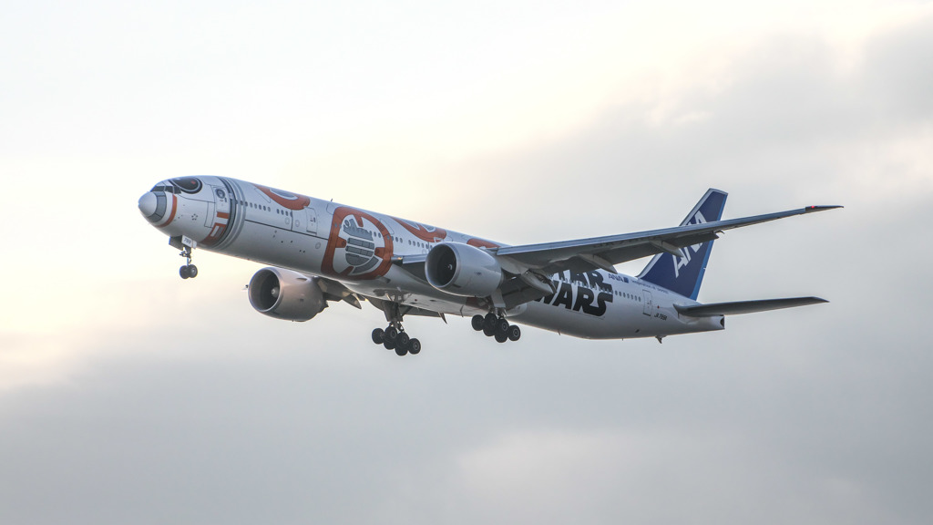 BB8の朝