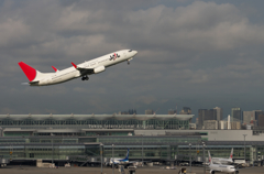 Hummingbird departure