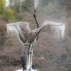 Ice Wing