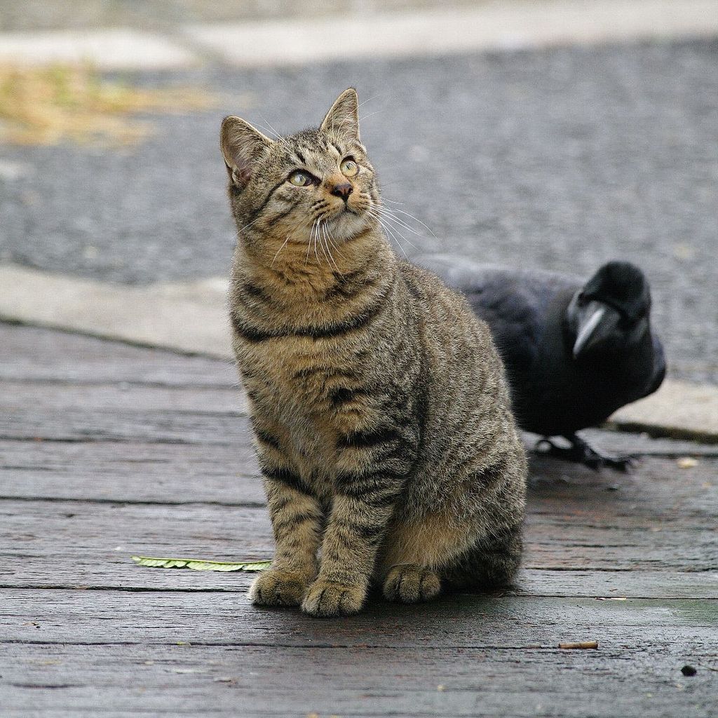 うしろ、うしろ。。。。