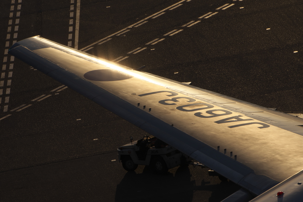 ＷＩＮＧ