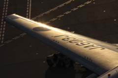 ＷＩＮＧ