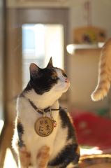 気になる。。。。