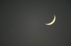 moonstar
