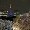 夜桜タワー