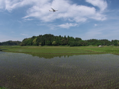 里山