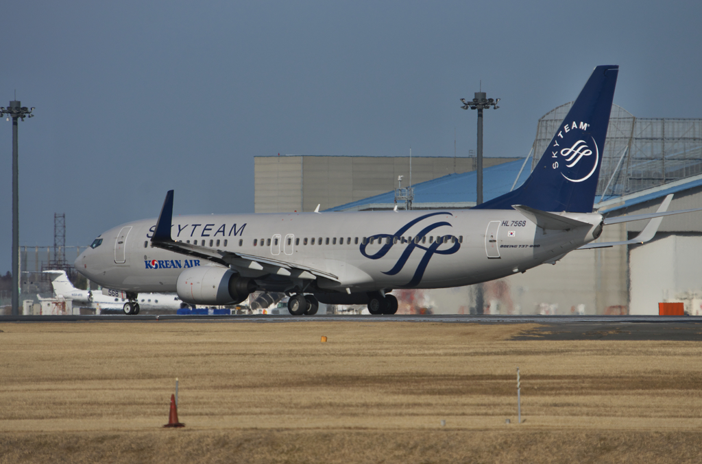 SKYTEAM