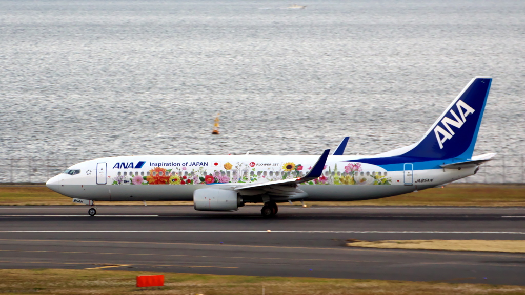 お花の飛行機