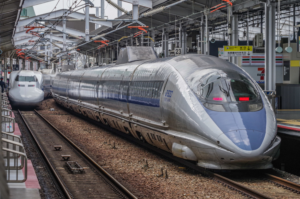 500が居た